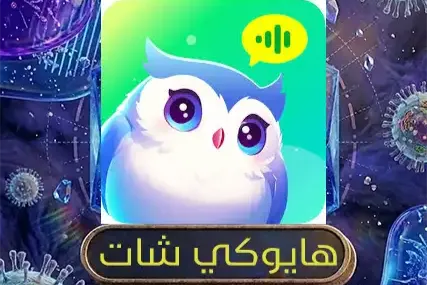 هايوكي